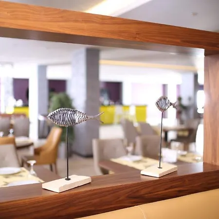 Отель Mirage Palm (adults Only)